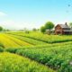Práticas Agrícolas Sustentáveis: Cultive um Futuro Verde