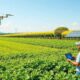 Serviços de drones: Transformando a agricultura moderna e sustentável